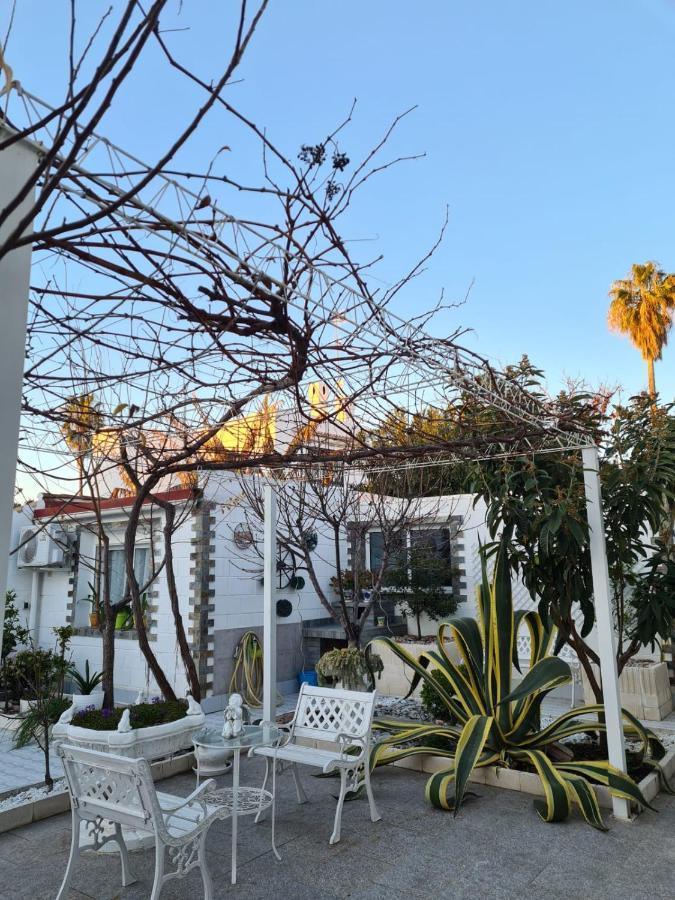 アルマダ Casa Coquetaヴィラ エクステリア 写真